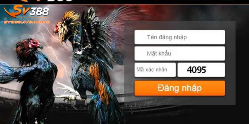 Thông tin khách hàng cần điền khi đăng nhập nhà cái
